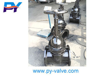 China cast iron gate valves 30ч6бр PN10 DN250 supplier