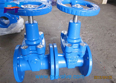 China Cast iron soft seal gate valve 30ч39р PN16 DN50 supplier