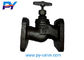 Flange cast iron stop valve  15кч19п DN25 supplier
