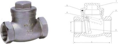 Threaded End Swing Check Valve 1 Inch